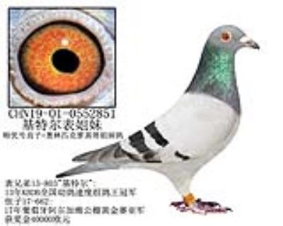 基特尔表姐妹-22