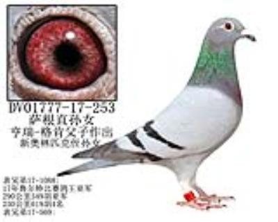 亨瑞-格肯原舍-25