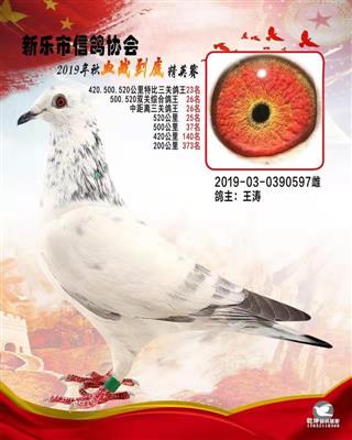 血战到底精英-特比环3关综合23名