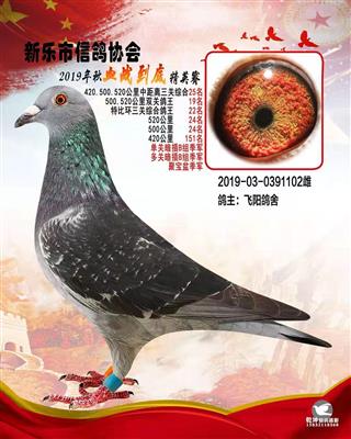 血战到底精英-特比环3关综合22名