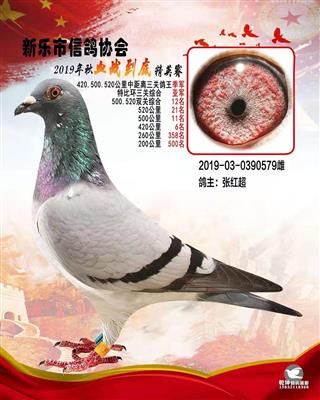 血战到底精英-特比环3关综合亚军