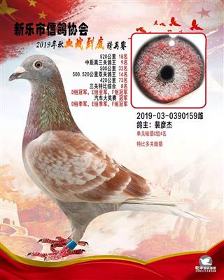 血战到底精英-汽车大奖赛冠军
