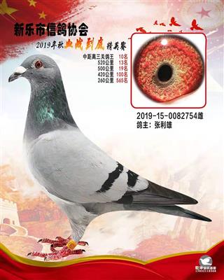 血战到底精英-3关鸽王10名