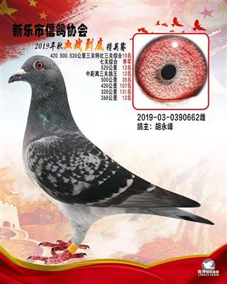 血战到底精英-7关综合季军