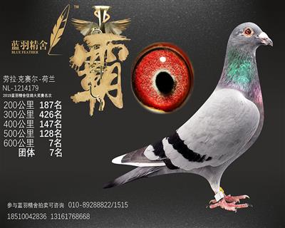 600公里 7名 团体7名