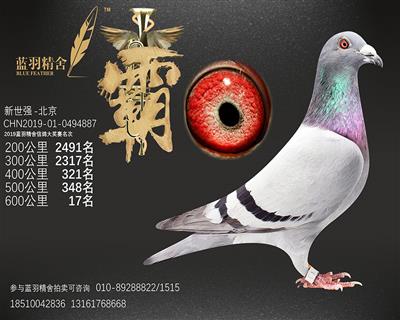 600公里 17名