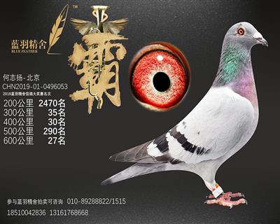 600公里 27名