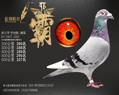 600公里 107名