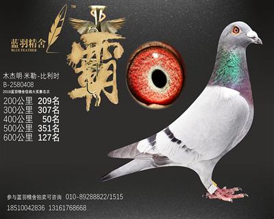 600公里 127名