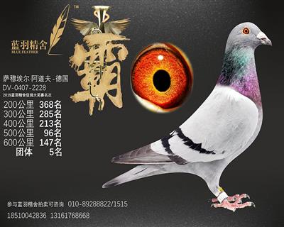 600公里 147名 团体5名