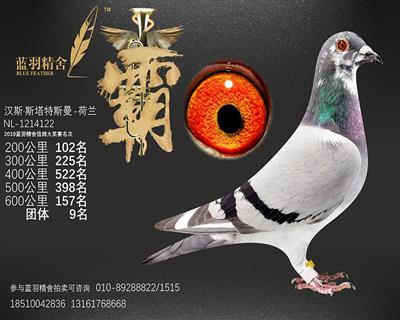 600公里 157名 团体9名