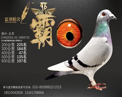 600公里 197名