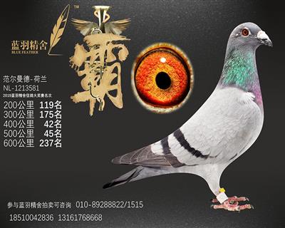 600公里 237名
