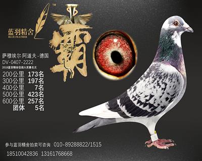 600公里 257名 团体5名