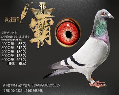 团体季军 600公里 297名