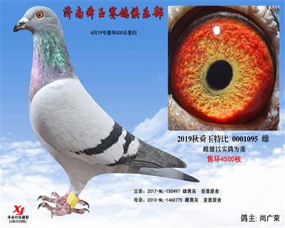4月19号套环500公里归