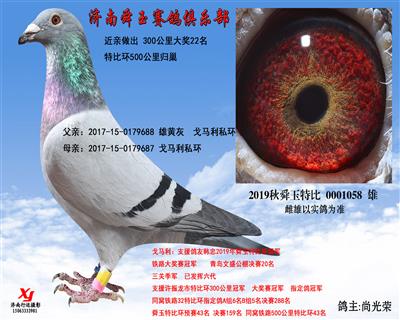 300公里大奖22名