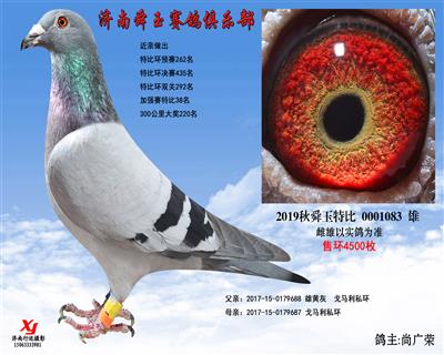 加强赛特比38名