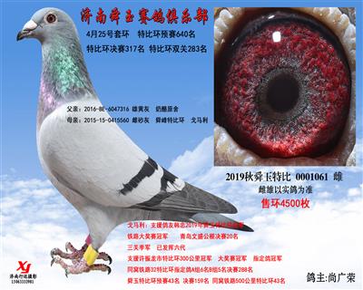 特比环双关283名