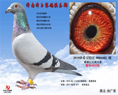 特比环决赛96名