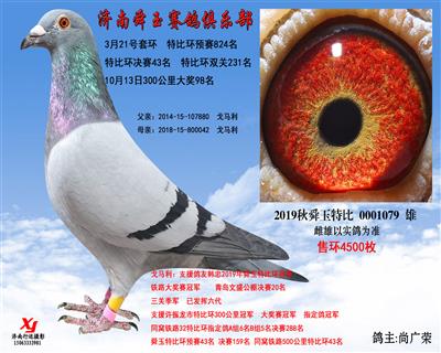 特比环决赛43名