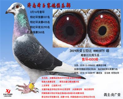 加强赛265名