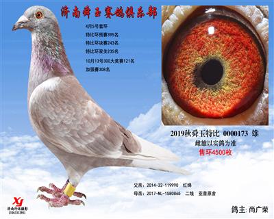 特比环双关235名
