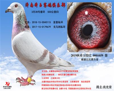 500公里归