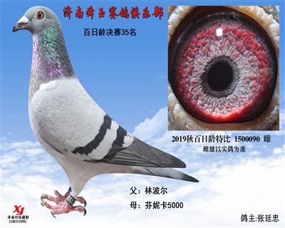 百日龄决赛35名