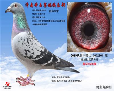 团体季军 特比环双关15名