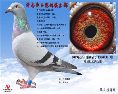 大家乐7名 百日龄特比决赛19名