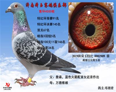 暗指3羽组5名 双关67名