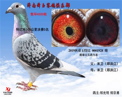 特比环500公里决赛5名