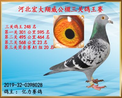 决赛23名