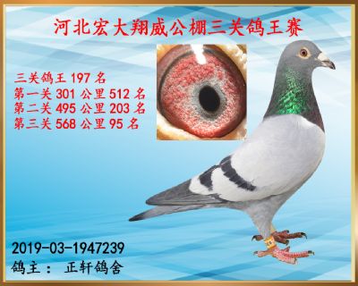 决赛95名