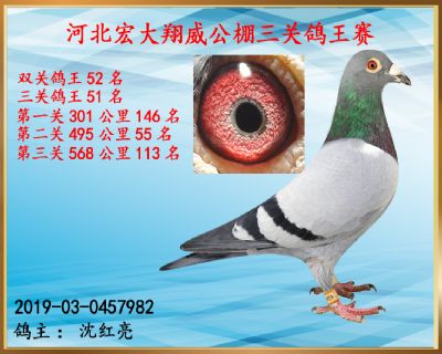 决赛113名