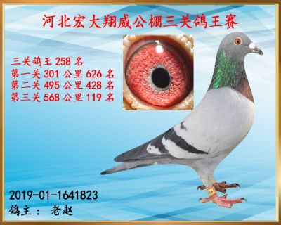 决赛119名