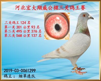 决赛137名