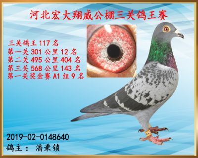 决赛143名、第一关12名