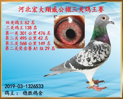 决赛149名、第二关42名