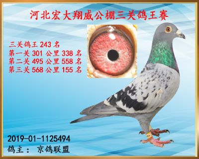 决赛155名