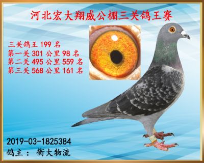 决赛161名