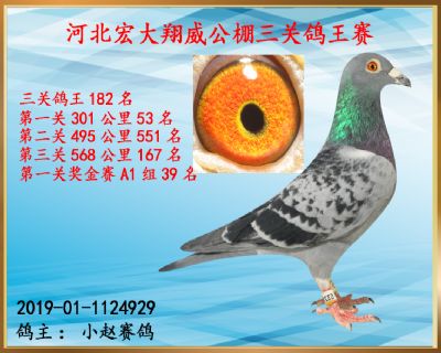 决赛167名、第一关53名