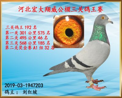 决赛185名、第二关46名