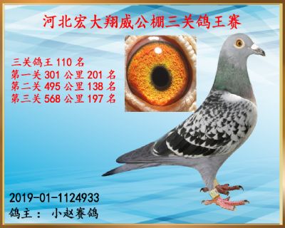 决赛197名