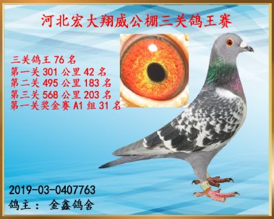 决赛203名