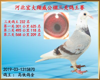 决赛209名