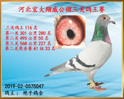 决赛227名、第二关50名