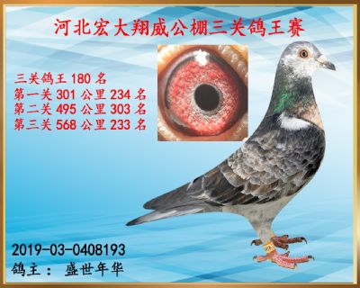 决赛233名