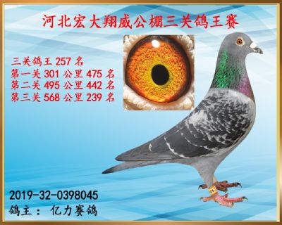 决赛239名